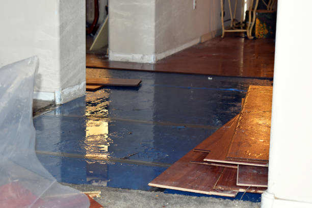 Professional Burst Pipe Cleanup technician working in Amesbury, MA